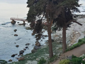 DEPARTAMENTO BAHÍA PELÍCANOS EN HORCÓN VISTA AL MAR PRIMERA LINEA